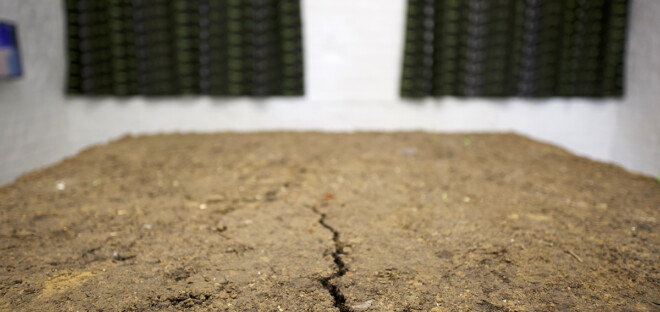 Tom Plumptre & Fearghus Raftery